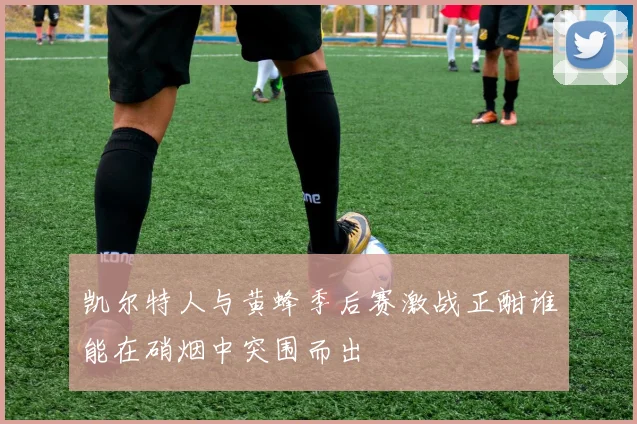 凯尔特人与黄蜂季后赛激战正酣谁能在硝烟中突围而出
