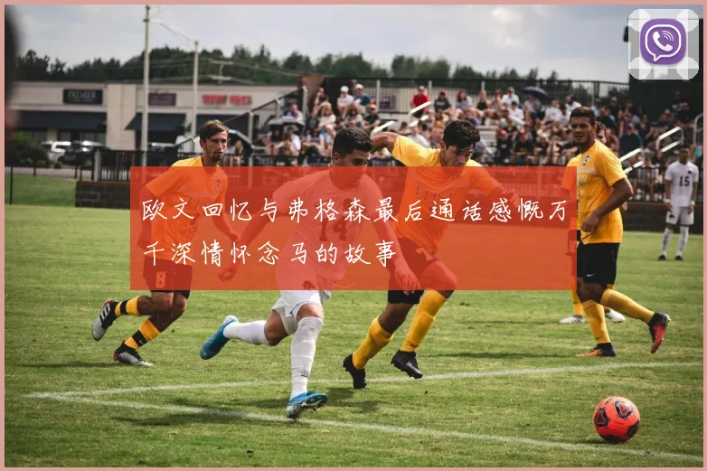 欧文回忆与弗格森最后通话感慨万千深情怀念马的故事